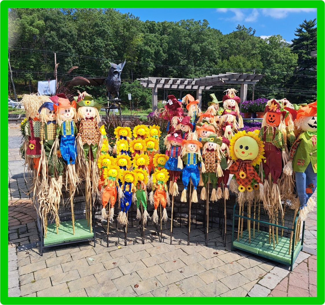 rox garden center pic 1